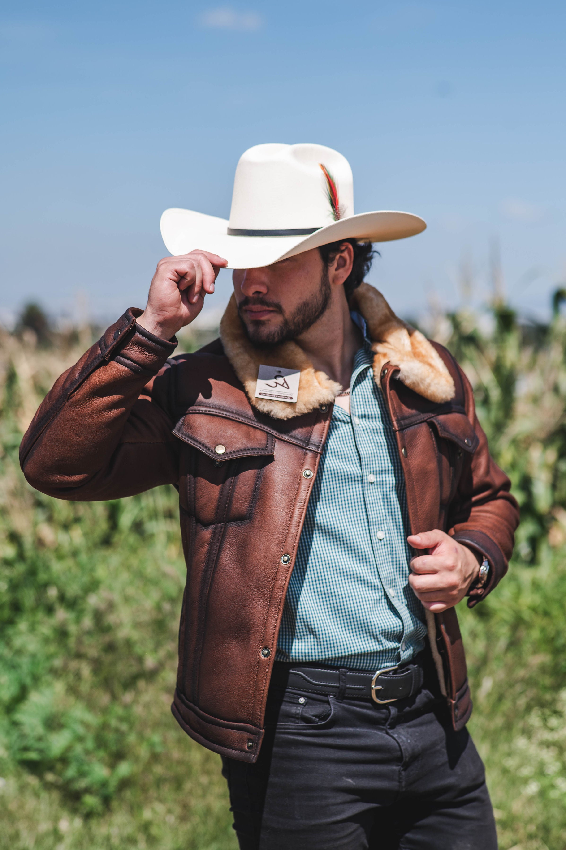 Clásica Broches Catiónica Sombreada