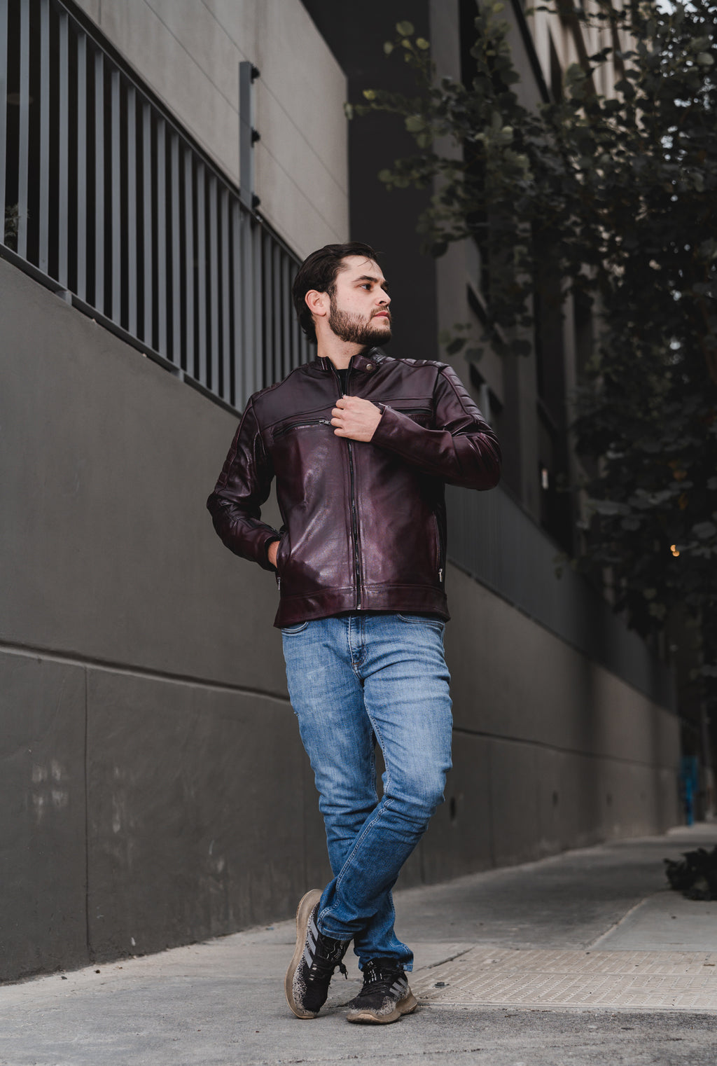 Dante Black Cherry