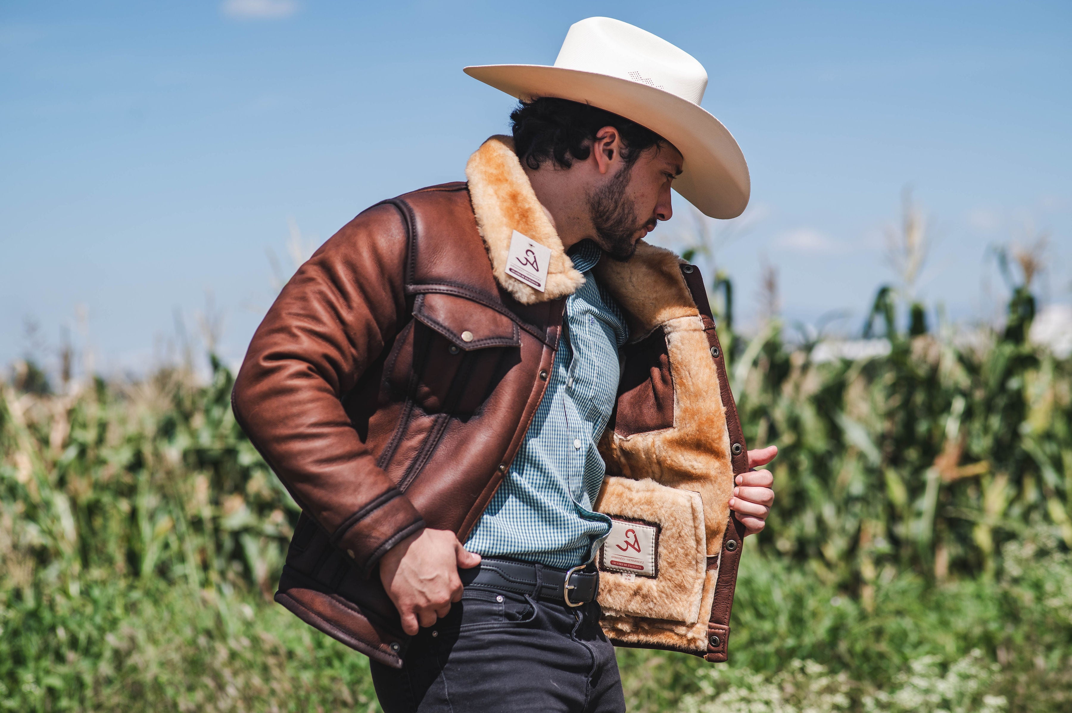 Clásica Broches Catiónica Sombreada