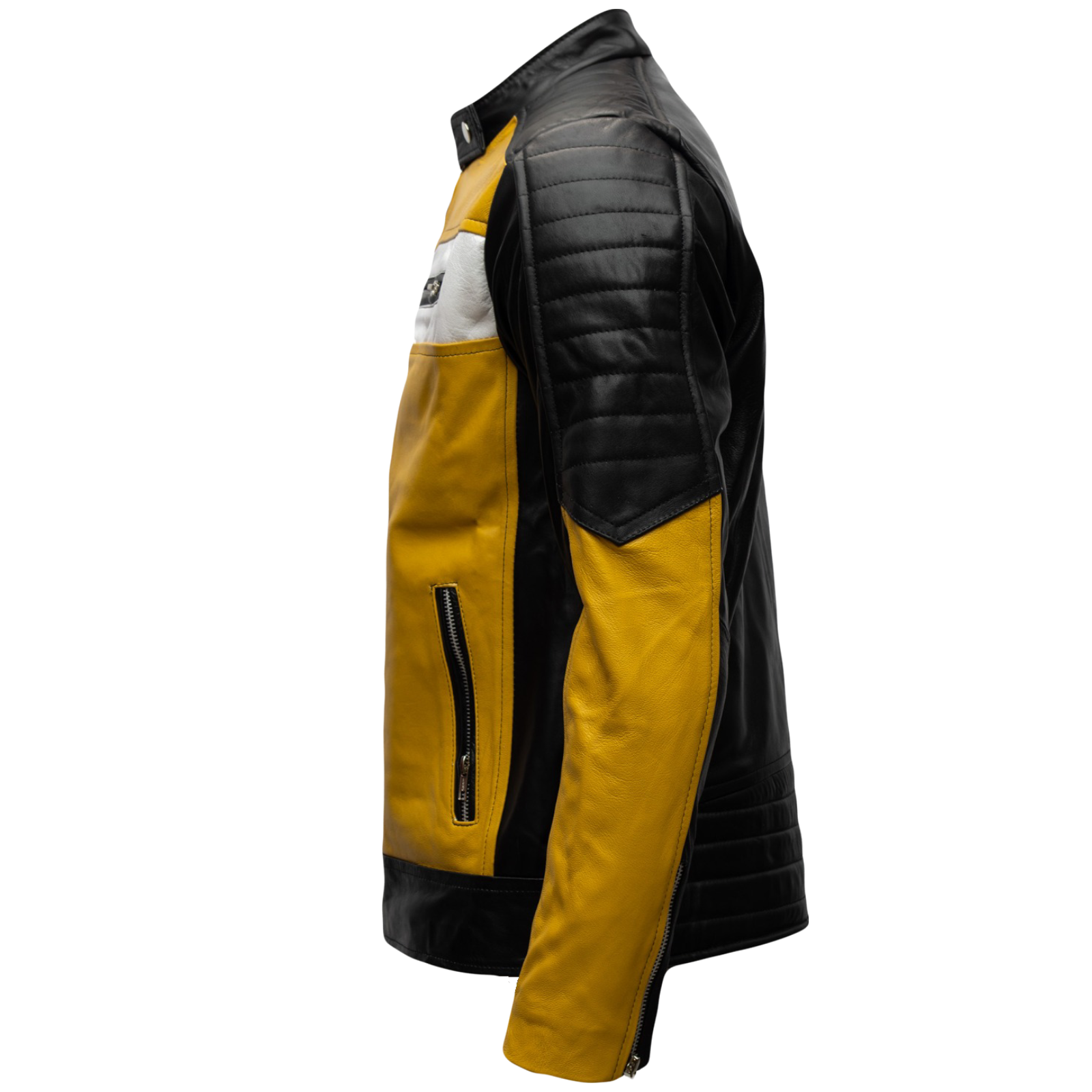 Draco amarillo